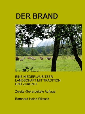 cover image of Der Brand